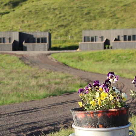 Laxárdalur Cabin Einarsstaðir Esterno foto